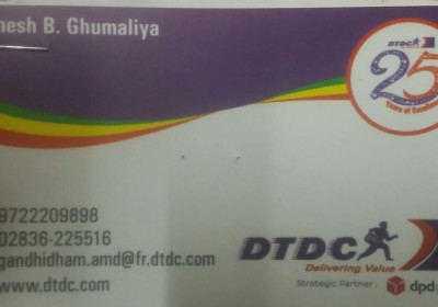 DTDC Couriyar Delivering