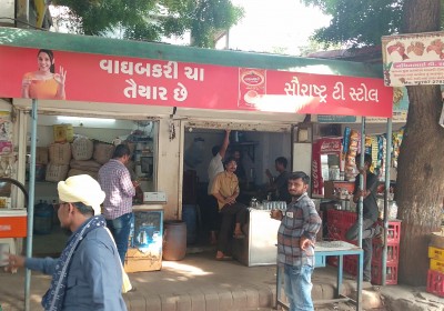 Sauratra tea stole