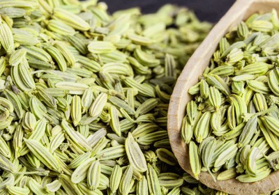 MILAN SEEDS CORPORATION INDIA LIMITED