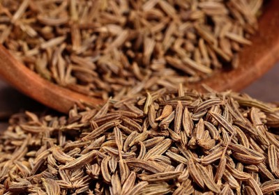 MILAN SEEDS CORPORATION INDIA LIMITED