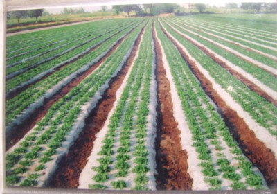 Parth Poly Woven Pvt Ltd