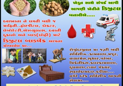 BHOMYO OFFICE JUNAGADH