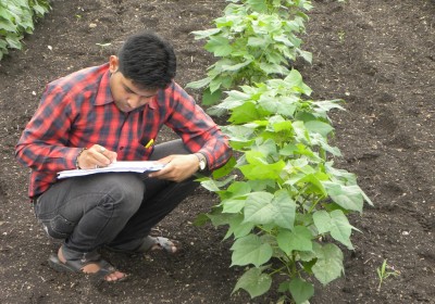 Kalpesh Rathod Agriculture Officer