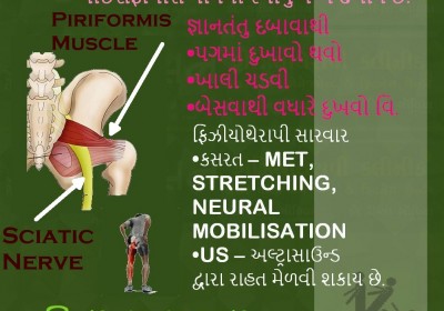 Punarvasan Physiotherapy Clinic Pain Management And Fitness Center