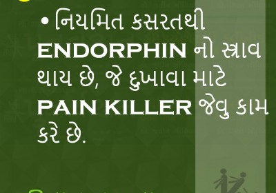 Punarvasan Physiotherapy Clinic Pain Management And Fitness Center