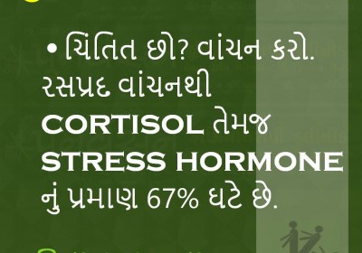 Punarvasan Physiotherapy Clinic Pain Management And Fitness Center