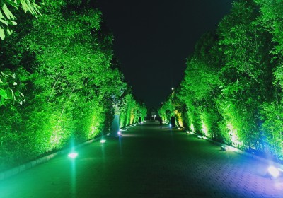 Jay Bholenath Light Decoration