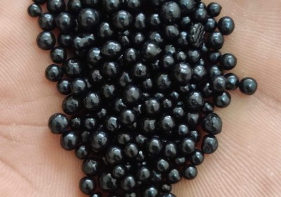 GREEN AGRO BIO TECH PVT.LTD.