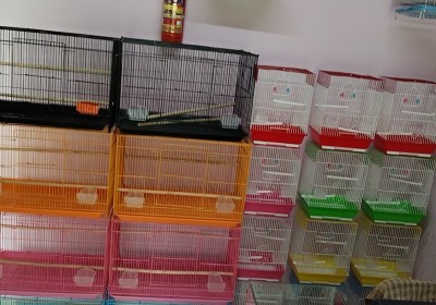 ROYAL PETS AND AQUARIUM
