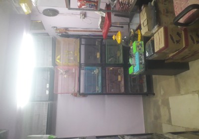 ROYAL PETS AND AQUARIUM