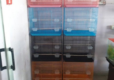 ROYAL PETS AND AQUARIUM